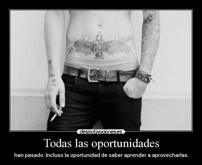 Todas las oportunidades - 