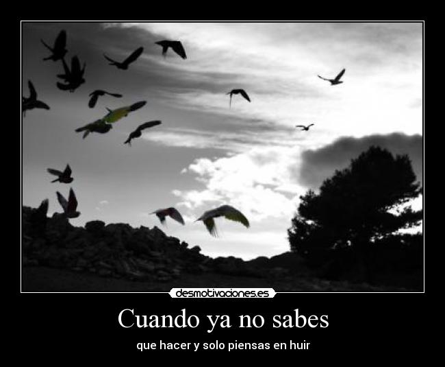 Cuando ya no sabes - que hacer y solo piensas en huir