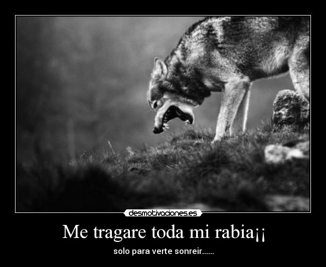 Me tragare toda mi rabia¡¡ - solo para verte sonreir......
