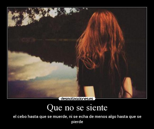 Que no se siente - el cebo hasta que se muerde, ni se echa de menos algo hasta que se pierde