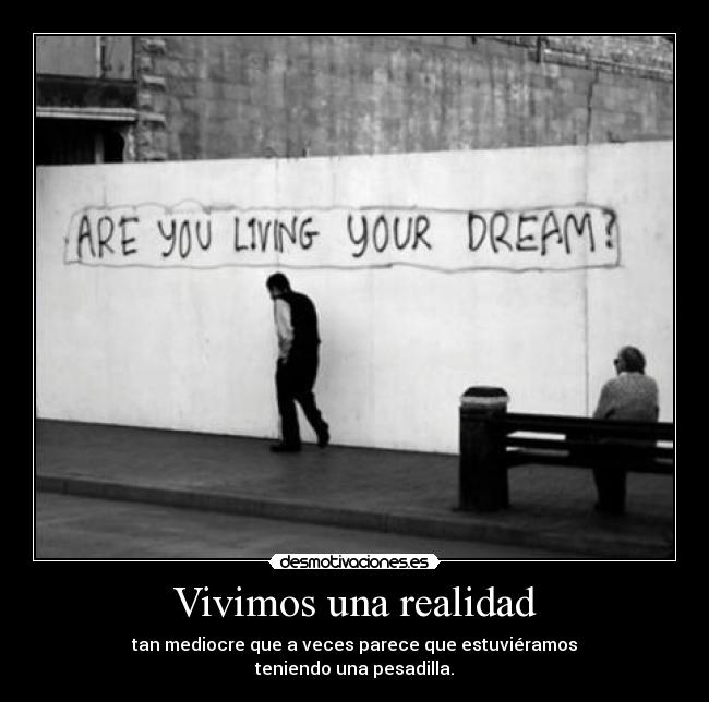 Vivimos una realidad - 