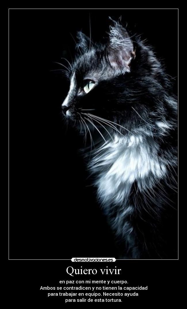 Quiero vivir - en paz con mi mente y cuerpo.
Ambos se contradicen y no tienen la capacidad
para trabajar en equipo. Necesito ayuda
para salir de esta tortura.