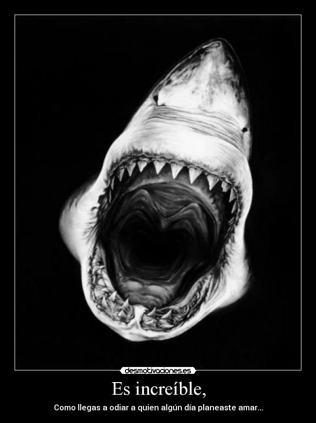 Es increíble, - Como llegas a odiar a quien algún día planeaste amar...