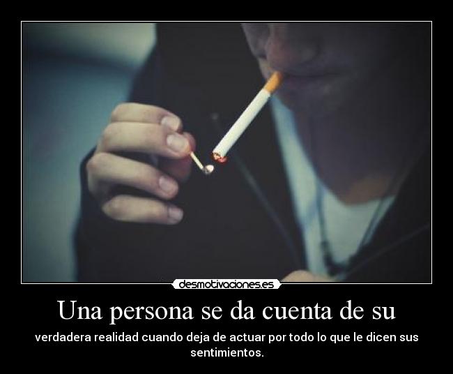 carteles are never ever getting back together desmotivaciones