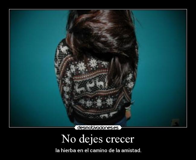 No dejes crecer - 