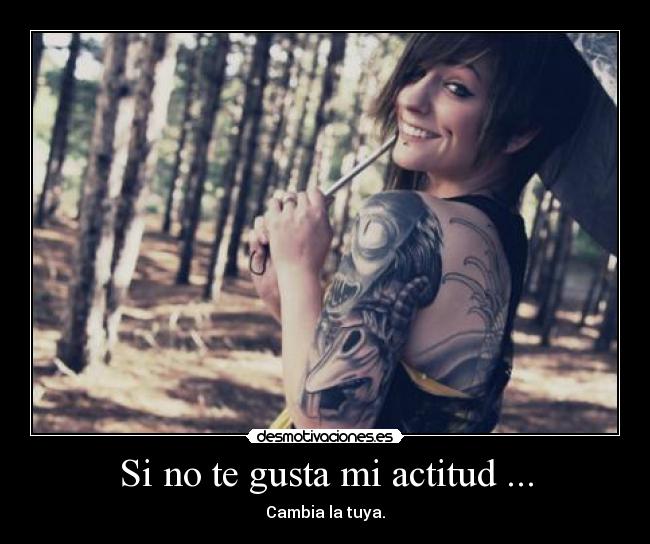 Si no te gusta mi actitud ... -