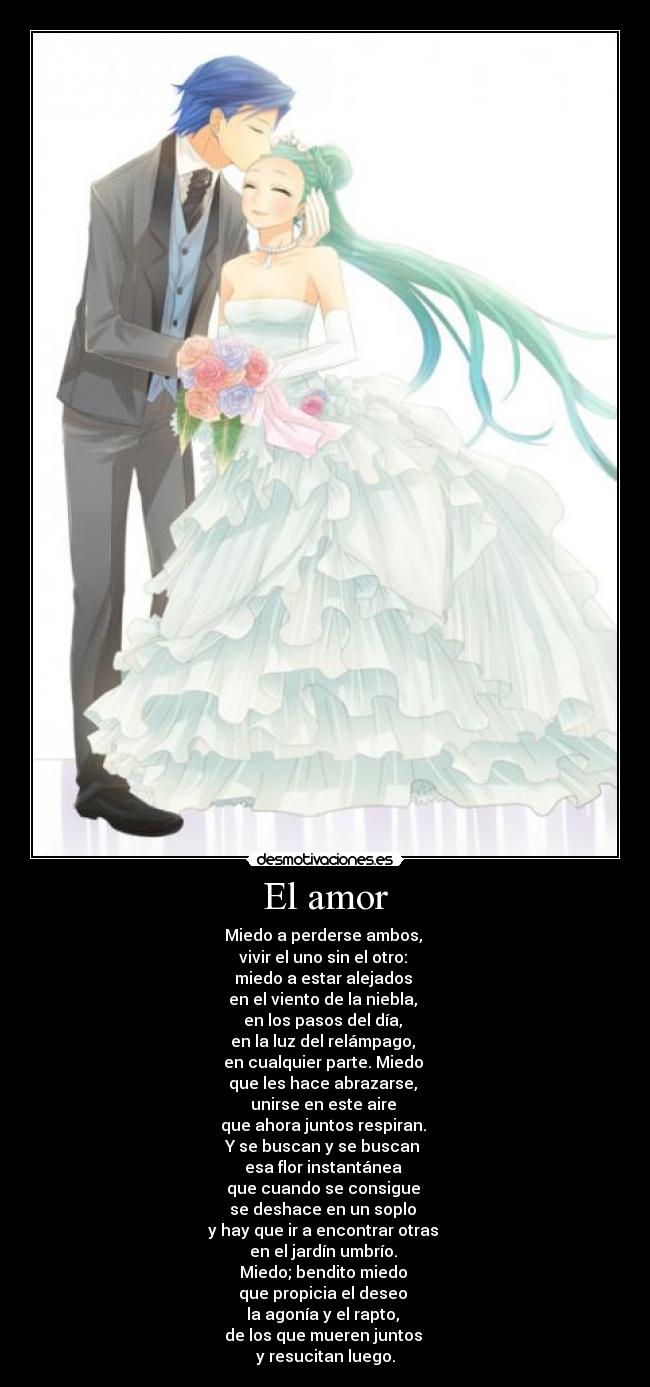 El amor - Miedo a perderse ambos,
vivir el uno sin el otro:
miedo a estar alejados
en el viento de la niebla,
en los pasos del día,
en la luz del relámpago,
en cualquier parte. Miedo
que les hace abrazarse,
unirse en este aire
que ahora juntos respiran.
Y se buscan y se buscan
esa flor instantánea
que cuando se consigue
se deshace en un soplo
y hay que ir a encontrar otras
en el jardín umbrío.
Miedo; bendito miedo
que propicia el deseo
la agonía y el rapto,
de los que mueren juntos
y resucitan luego.