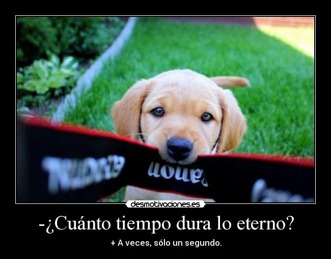 -¿Cuánto tiempo dura lo eterno? -