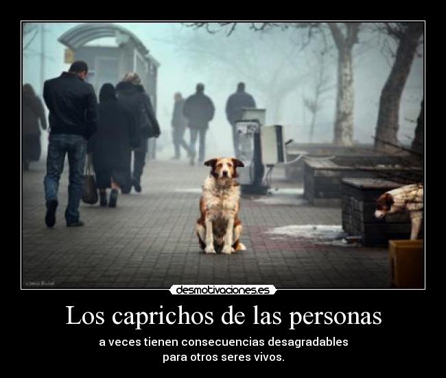 Los caprichos de las personas - 