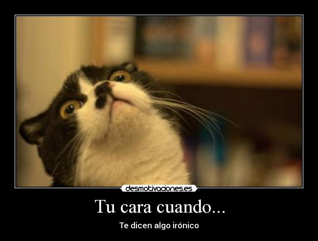Tu cara cuando... - 