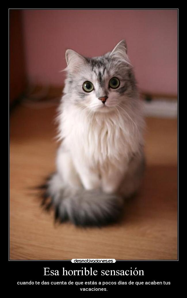 Esa horrible sensación - cuando te das cuenta de que estás a pocos días de que acaben tus vacaciones.