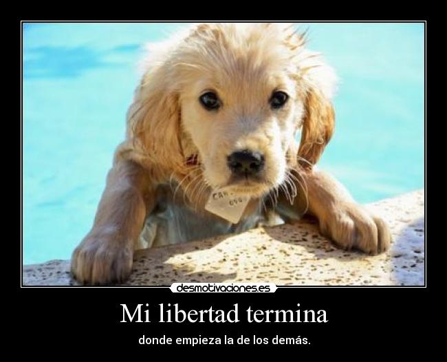 Mi libertad termina - donde empieza la de los demás.