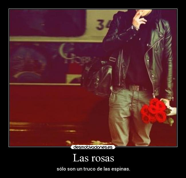 Las rosas - sólo son un truco de las espinas.