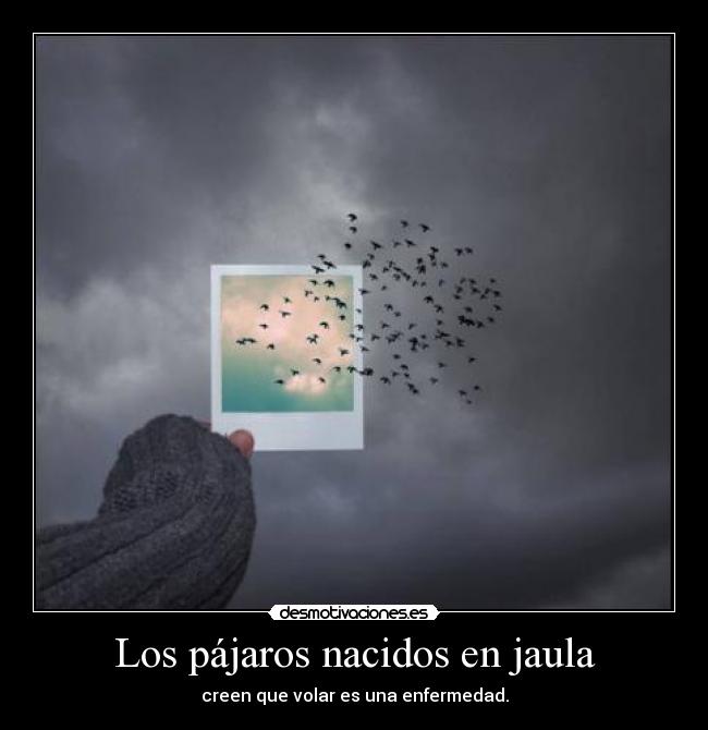 Los pájaros nacidos en jaula -