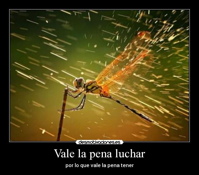 Vale la pena luchar -