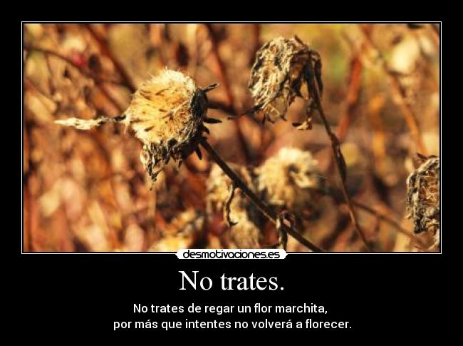 No trates. - No trates de regar un flor marchita, 
por más que intentes no volverá a florecer.