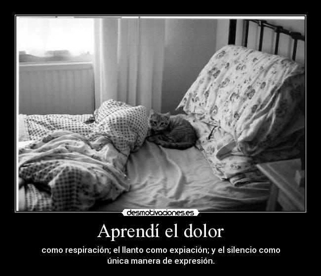 Aprendí el dolor - como respiración; el llanto como expiación; y el silencio como
única manera de expresión.