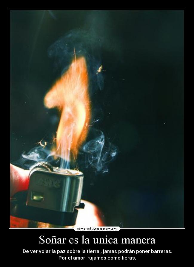 Soñar es la unica manera - De ver volar la paz sobre la tierra , jamas podrán poner barreras.
Por el amor  rujamos como fieras.