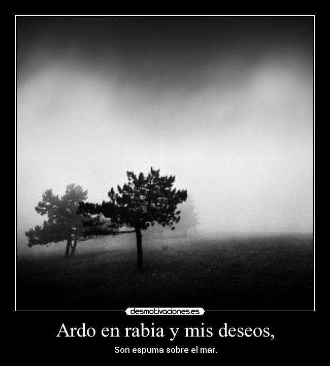 Ardo en rabia y mis deseos, - Son espuma sobre el mar.