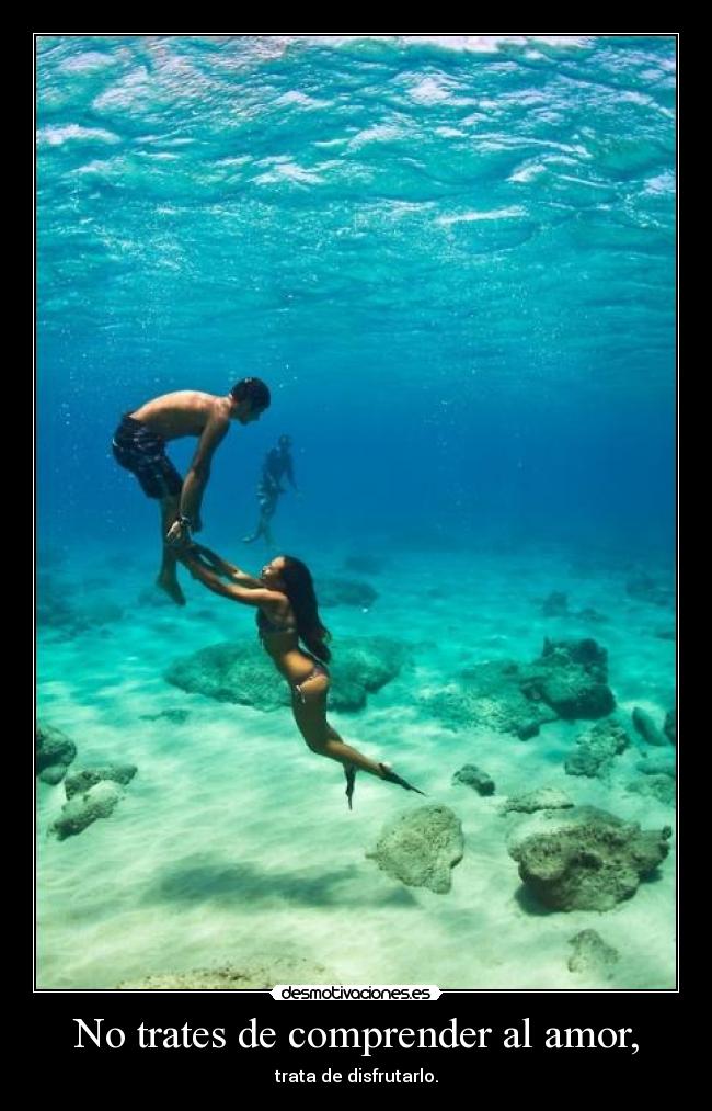 No trates de comprender al amor, - trata de disfrutarlo.