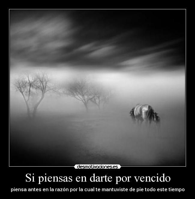 Si piensas en darte por vencido - piensa antes en la razón por la cual te mantuviste de pie todo este tiempo