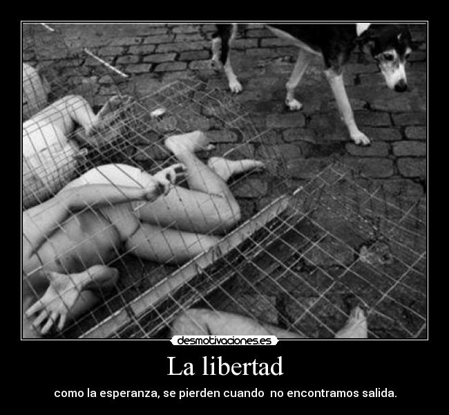 La libertad -