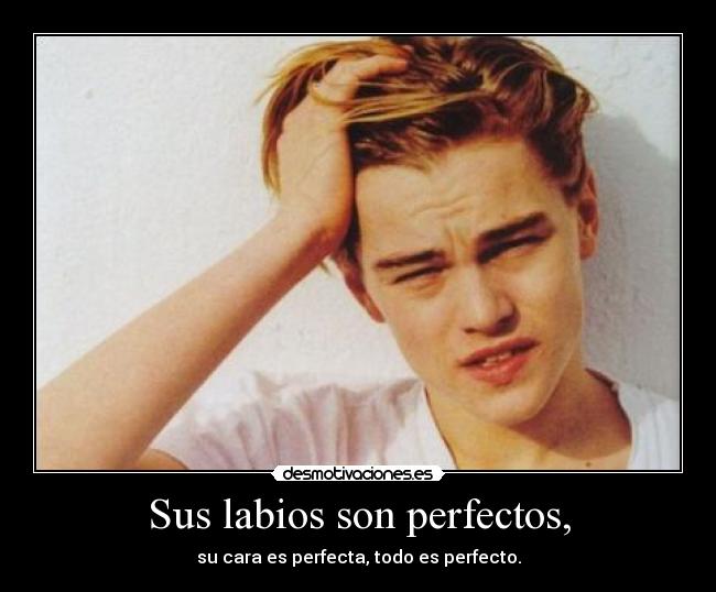 carteles leonardo dicaprio desmotivaciones