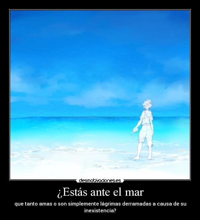 carteles kingdom hearts sora harukaze desmotivaciones