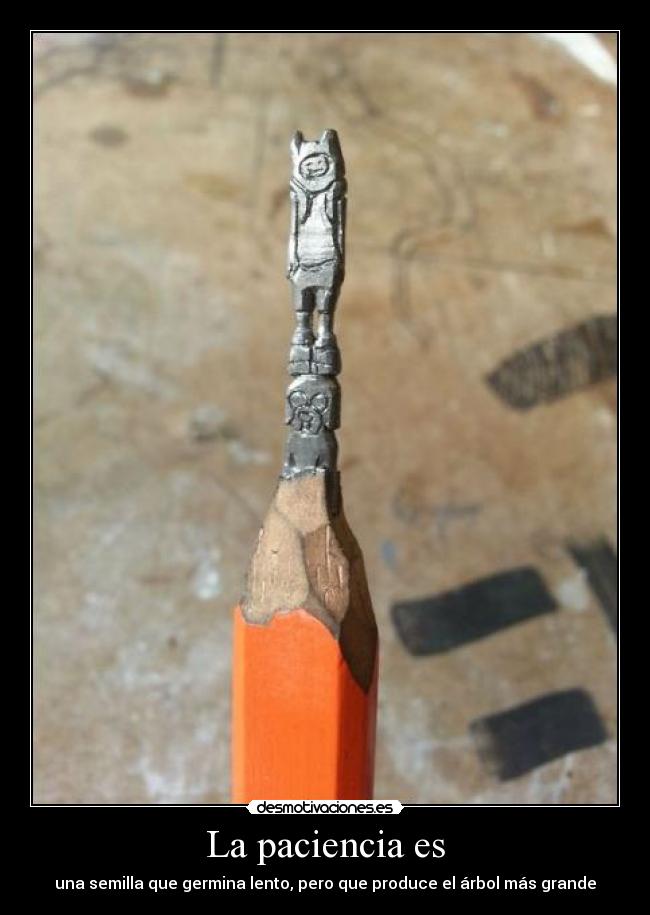 La paciencia es -