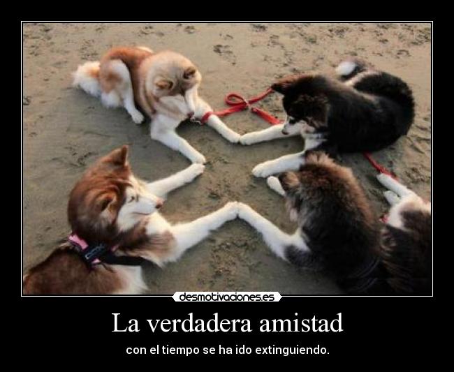 La verdadera amistad -
