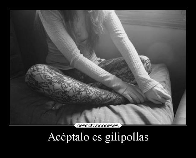 Acéptalo es gilipollas -