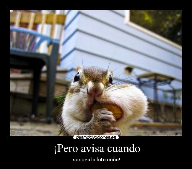 ¡Pero avisa cuando - saques la foto coño!