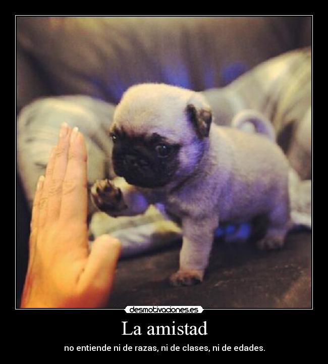 La amistad - 