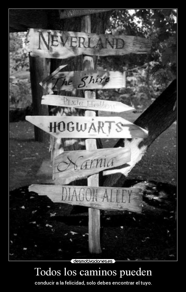 Todos los caminos pueden - conducir a la felicidad, solo debes encontrar el tuyo.