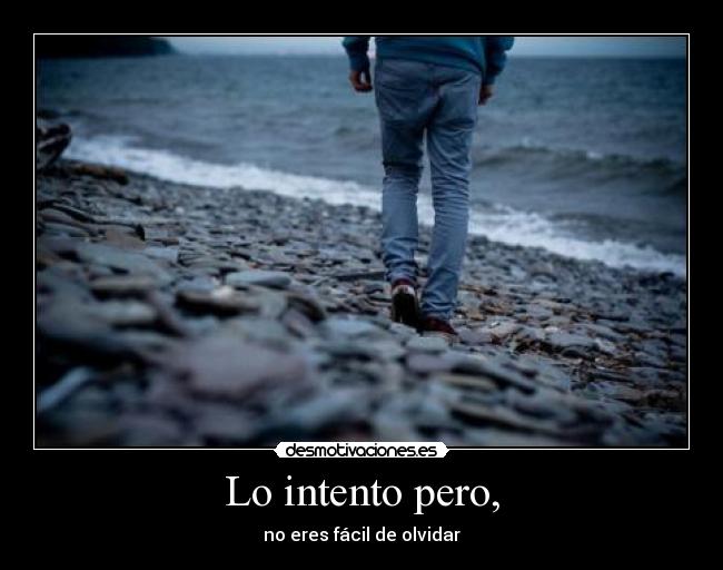 Lo intento pero, - no eres fácil de olvidar