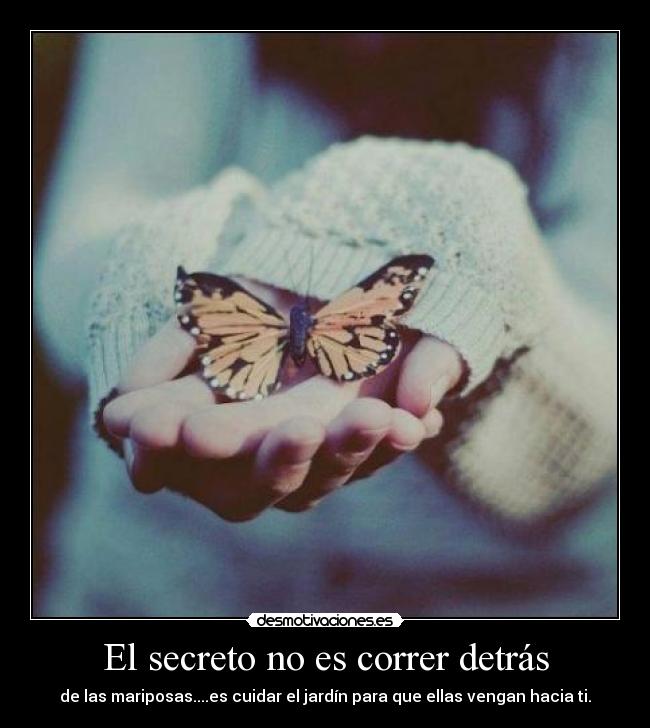 El secreto no es correr detrás - de las mariposas....es cuidar el jardín para que ellas vengan hacia ti.