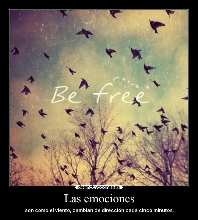 carteles emociones viento direccion minutos desmotivaciones