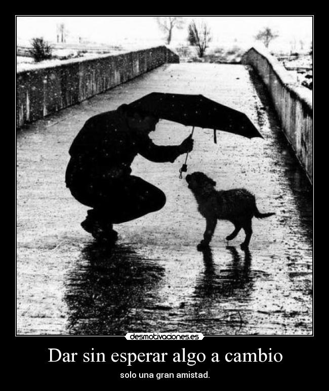 Dar sin esperar algo a cambio -