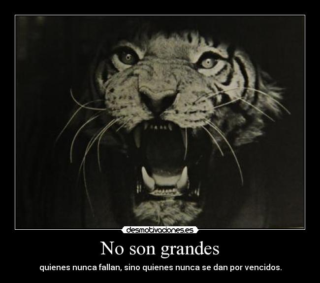 No son grandes - quienes nunca fallan, sino quienes nunca se dan por vencidos.