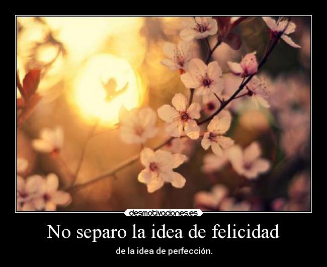 No separo la idea de felicidad - de la idea de perfección.