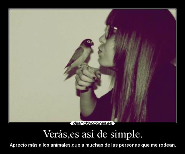 Verás,es así de simple. - Aprecio más a los animales,que a muchas de las personas que me rodean.