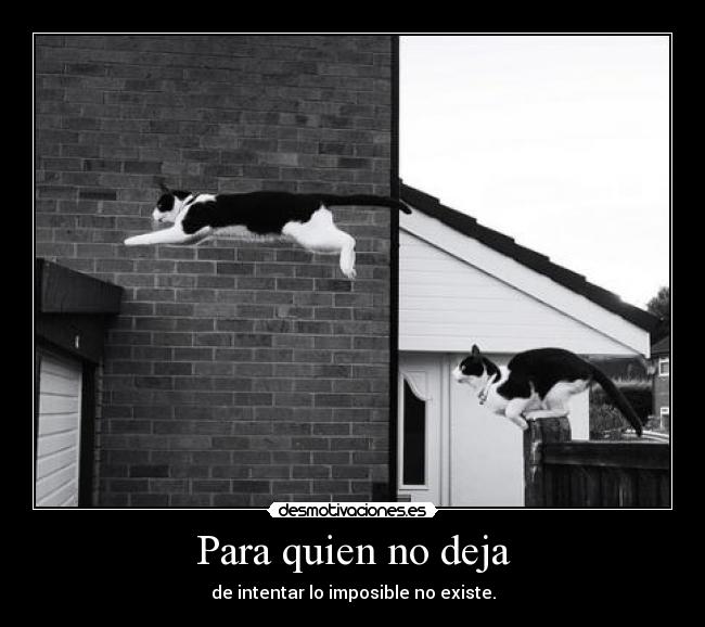 Para quien no deja - de intentar lo imposible no existe.