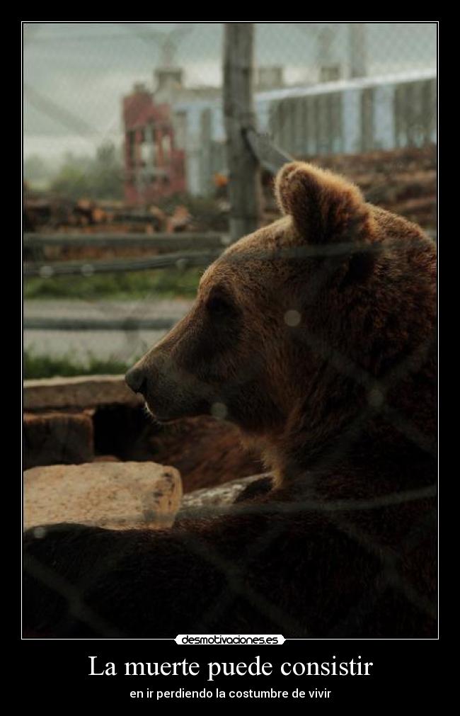 La muerte puede consistir - en ir perdiendo la costumbre de vivir