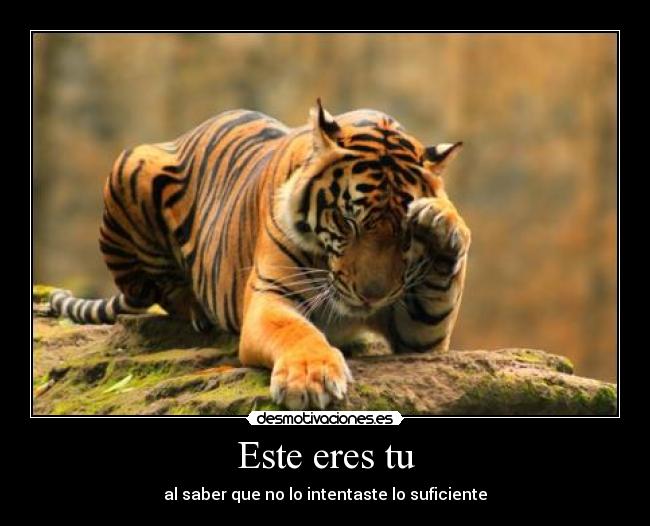 carteles animales desmotivaciones