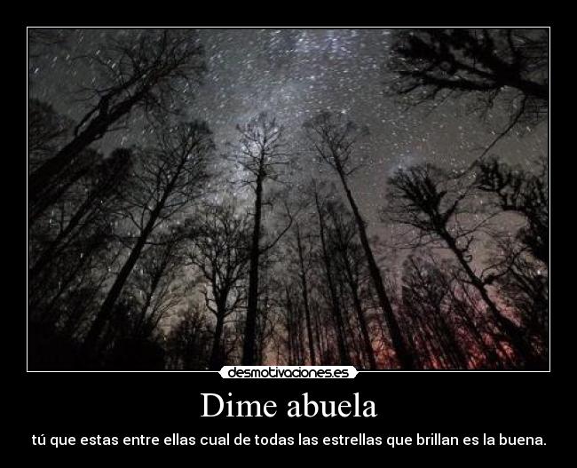 carteles baobas algun dia volvere ver pero demomento desmotivaciones