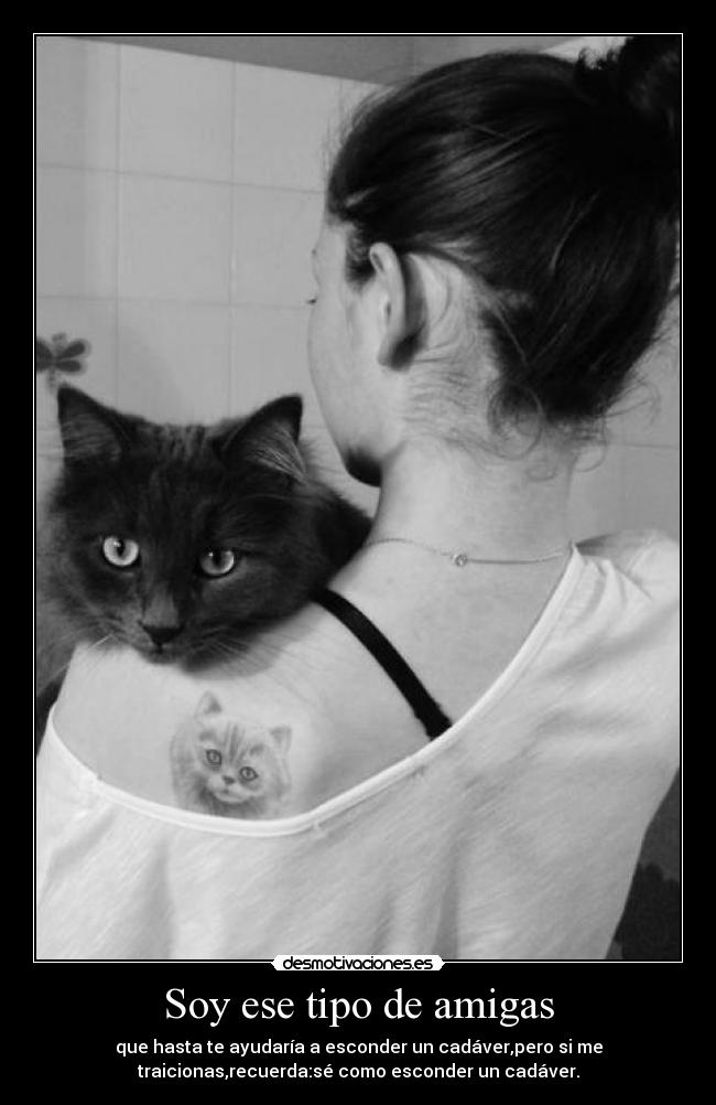 carteles quemastedaquiensoy desmotivaciones