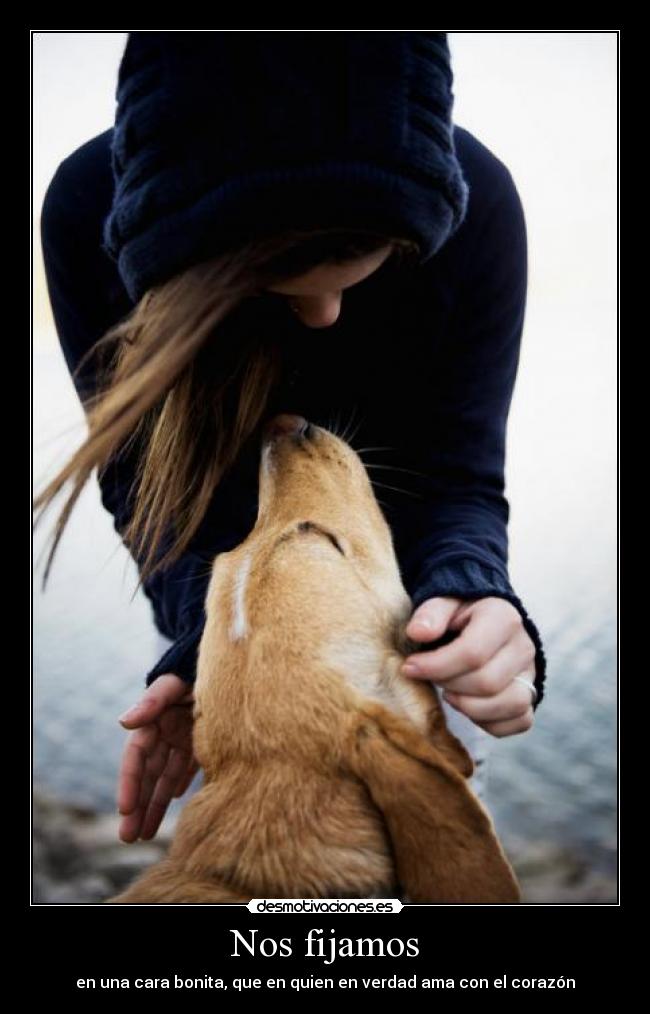 carteles photo desmotivaciones