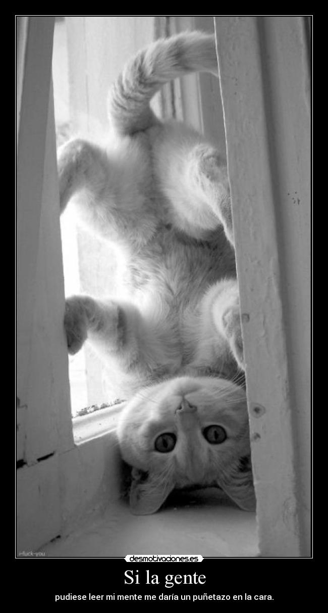 Si la gente - pudiese leer mi mente me daría un puñetazo en la cara.