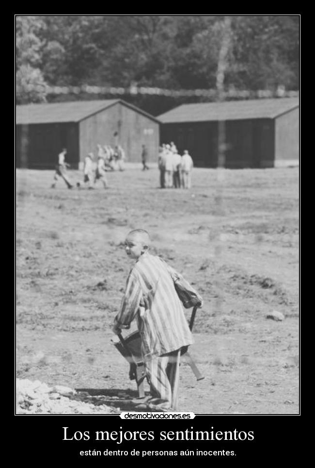 carteles sentimientos andres92 misterio los carteles que perdieron por camino desmotivaciones