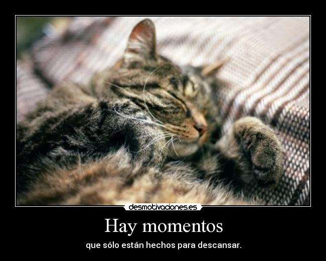 Hay momentos - que sólo están hechos para descansar.